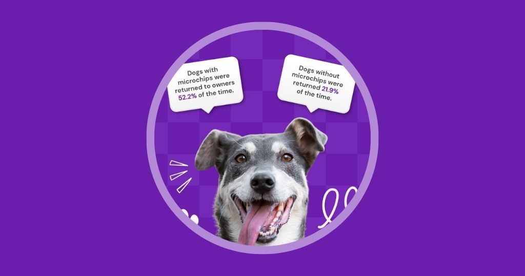 11 veterinary marketing ideas to boost engagement in June Vetstoria