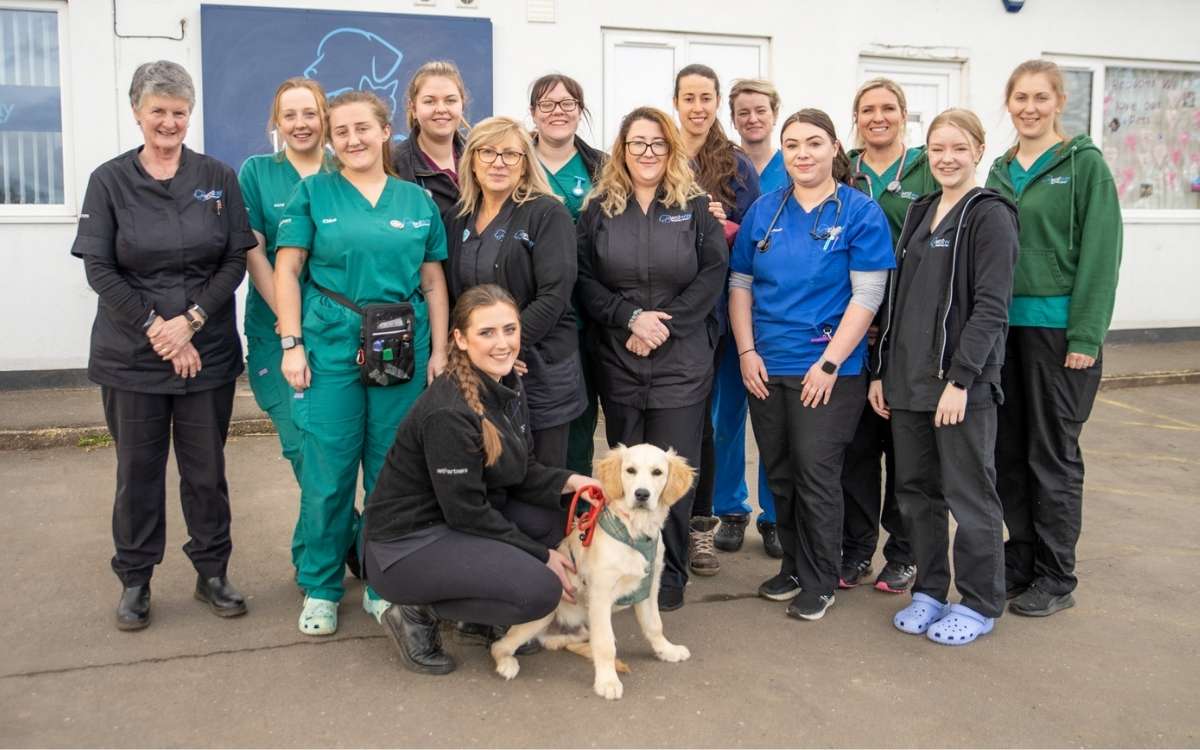 VetPartners - Westway Veterinary Group case study image 4