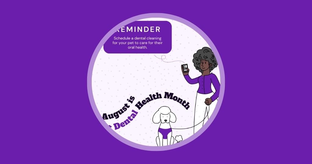 Australia Edition 9 Veterinary Marketing Ideas for August