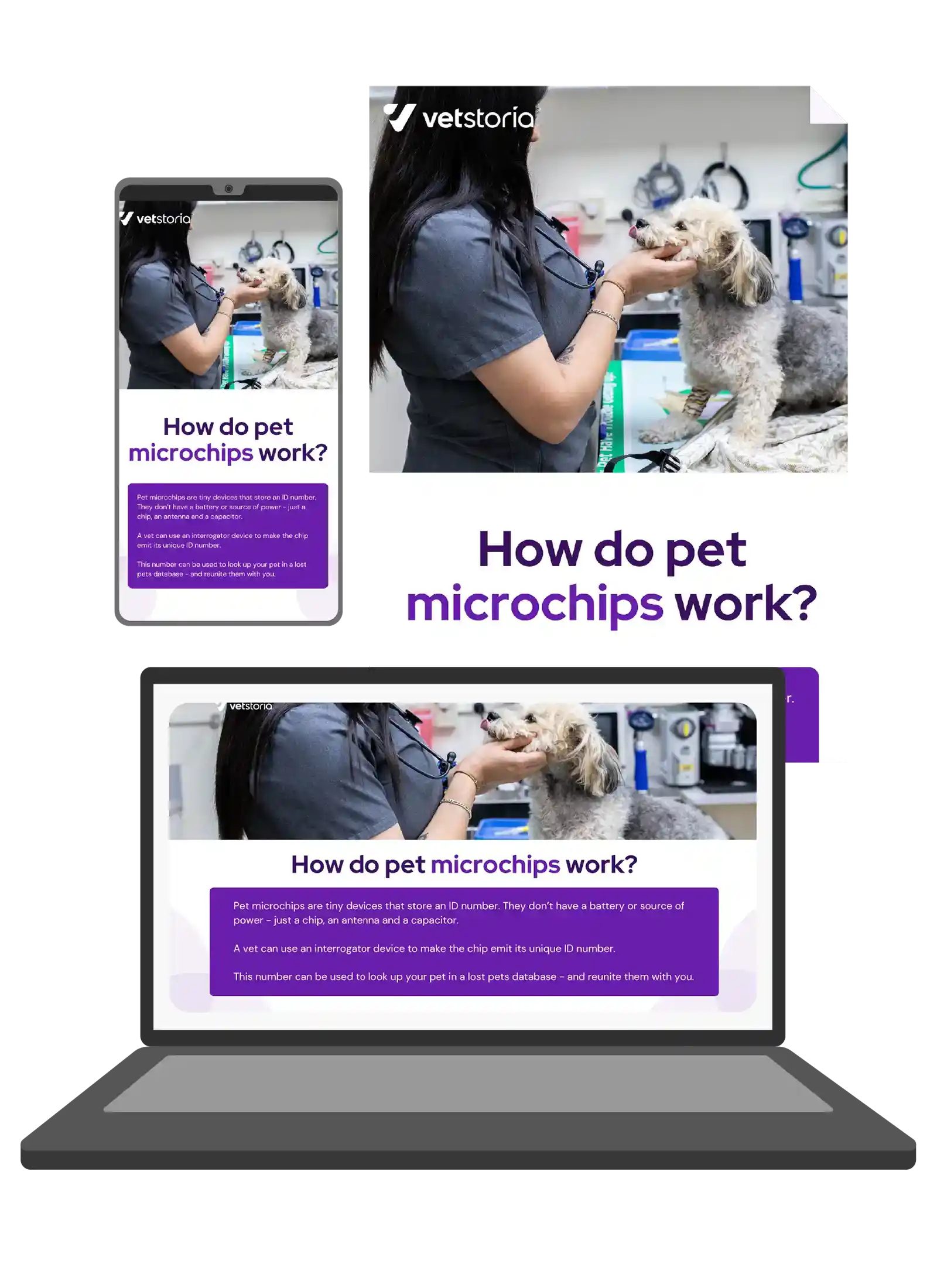 pet microchipping Vetstoria content pack header image