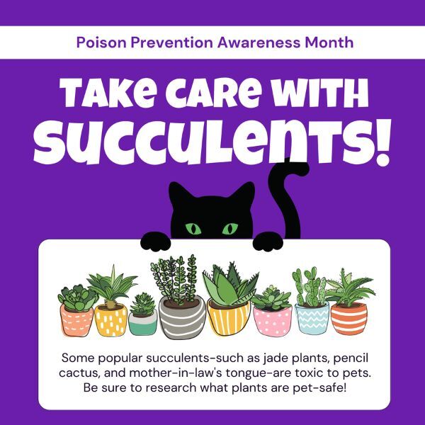 poison prevention awareness month march freebies