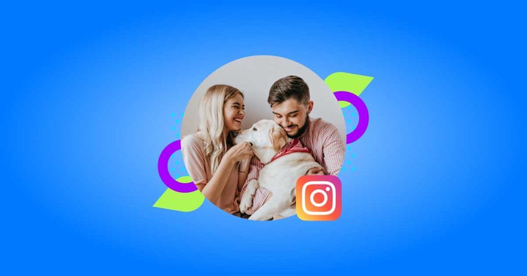 Veterinary Influencers on Instagram - Vetstoria