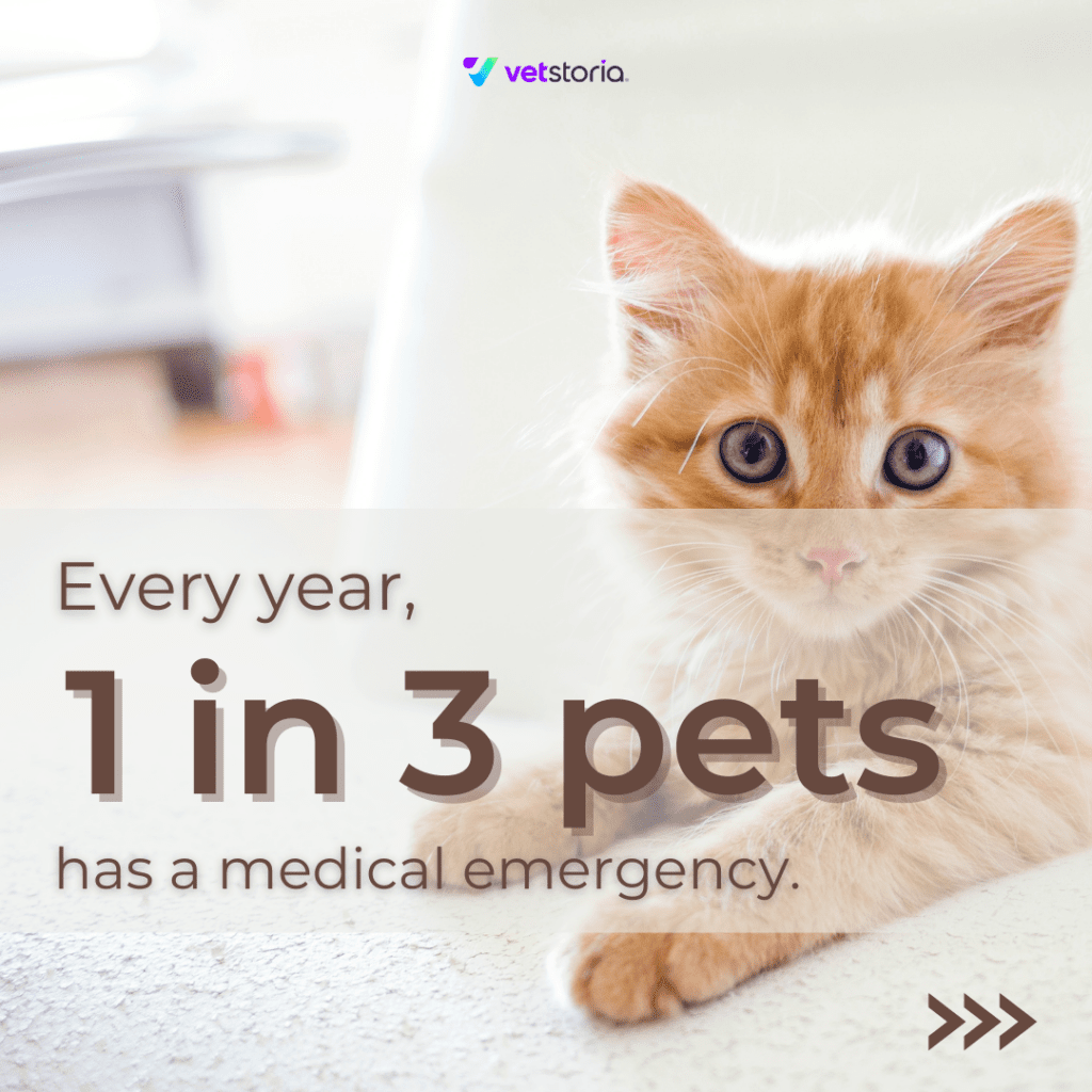 Educating pet owners about pet insurance