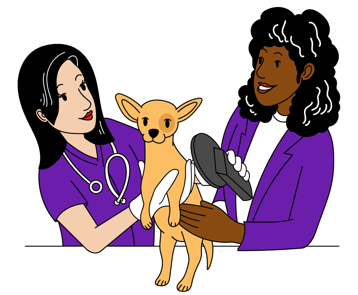 Vetstoria illustrations pet, vet