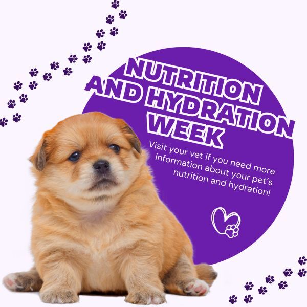veterinary nutrition and hydration week Vetstoria march freebies