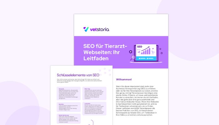 Vetstoria SEO Guide - German image