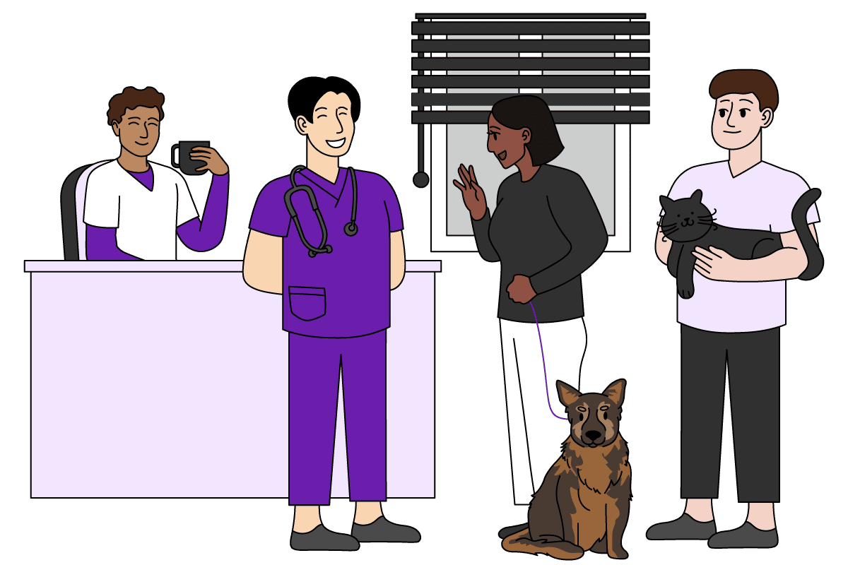 Organized Veterinary Clinic Vetstoria illustration