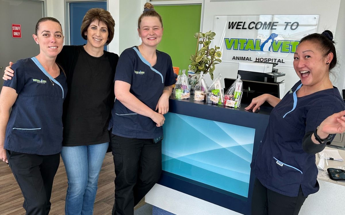 Vital Vet Animal Hospital Australia Case Study Vetstoria